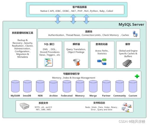 MySQL數(shù)據(jù)庫基礎(chǔ)與數(shù)據(jù)處理服務(wù)入門